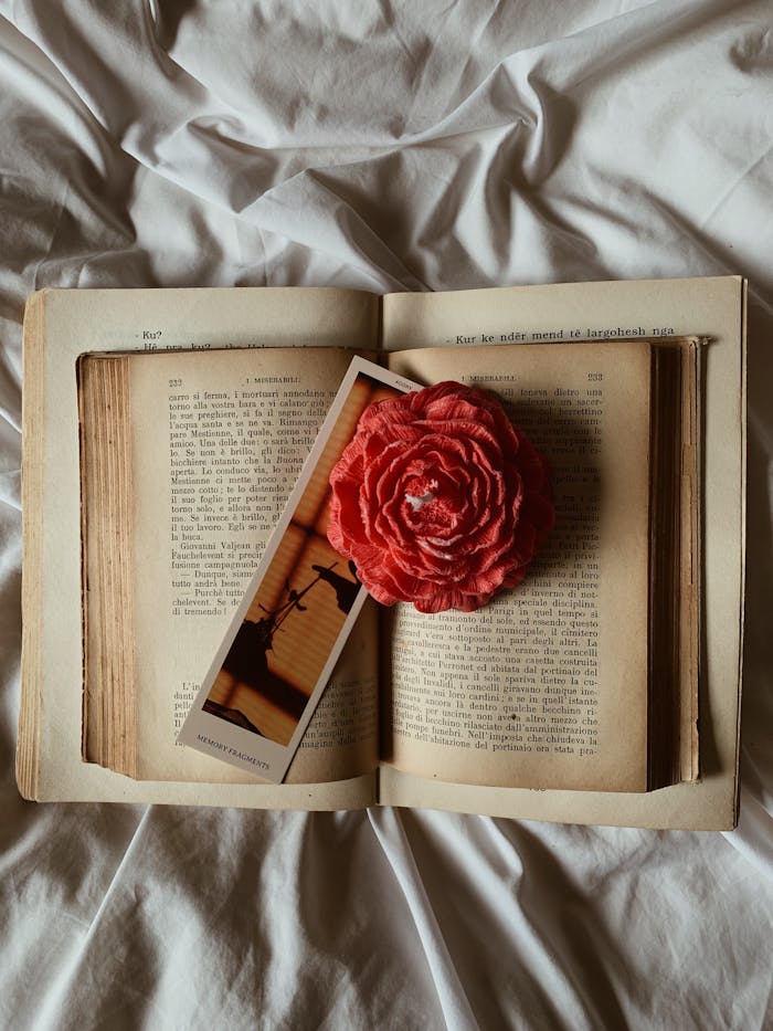 An open vintage book with a red rose and bookmark on crumpled sheets.