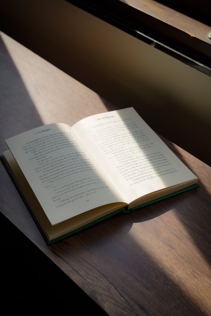 An open book sits in the sunlight on a wooden table, creating a peaceful reading nook.