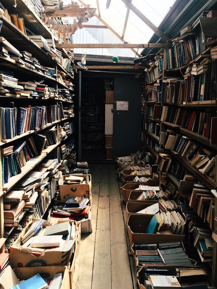 Explore a quaint, narrow bookstore aisle filled with vintage books and a rustic wooden interior.